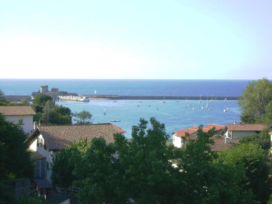 Hotel Le Cèdre Bleu Ciboure Esterno foto